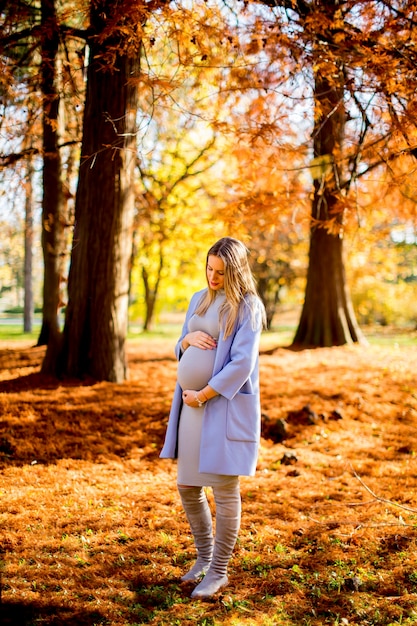 Femme enceinte dans le parc