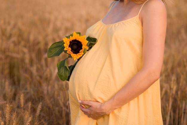 Femme enceinte et petit ami tenant l'estomac