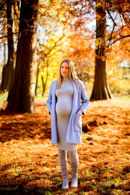 Femme enceinte posant dans le parc