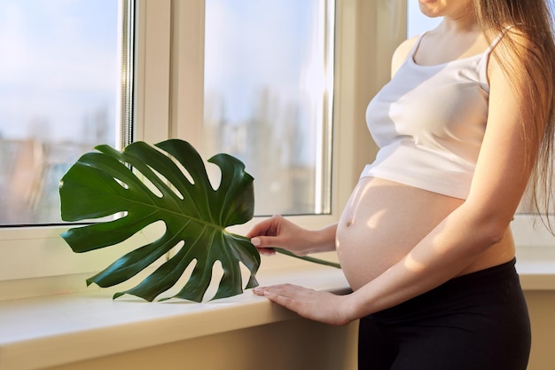 Femme enceinte avec le ventre ouvert debout à la maison près de la fenêtre tenant une feuille verte