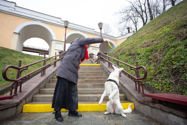 Une femme entraîne son mignon chien White Swiss Shepherd à l'extérieur sur un escalier dans le parc de la ville.