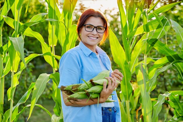 Femme avec des épis de maïs mûrs dans ses mains en regardant la caméra à la ferme