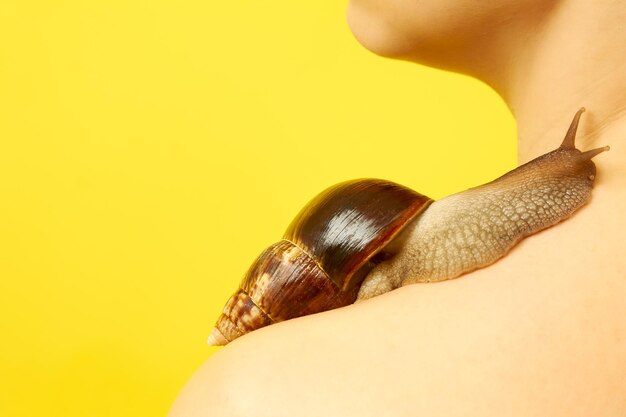 Une femme avec un escargot sur son corps sur fond jaune