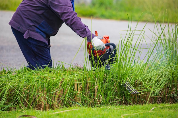 Une femme essayant de tondre l'herbe de jardin envahie de hauteur dans un pré avec un puissant