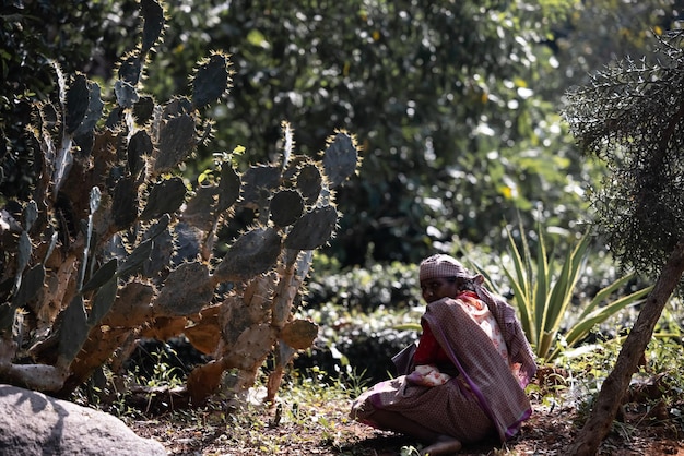 Une femme est assise dans un champ avec un cactus et un cactus.