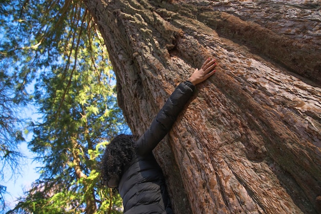 femme, étreindre, grand arbre