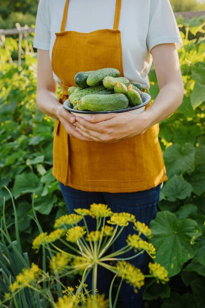 Une femme européenne dans un tablier orange récolte des concombres et des pois dans son jardin une femme jardinière