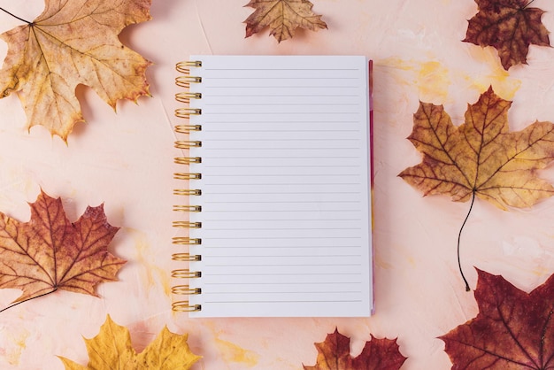 Femme à faire liste maquette et feuilles d'érable d'automne