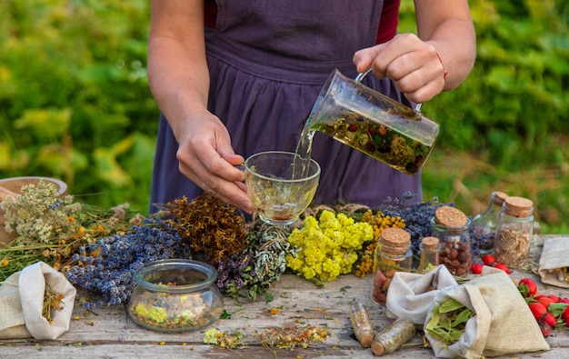 Une femme fait du thé à base de plantes. Focus sélectif.