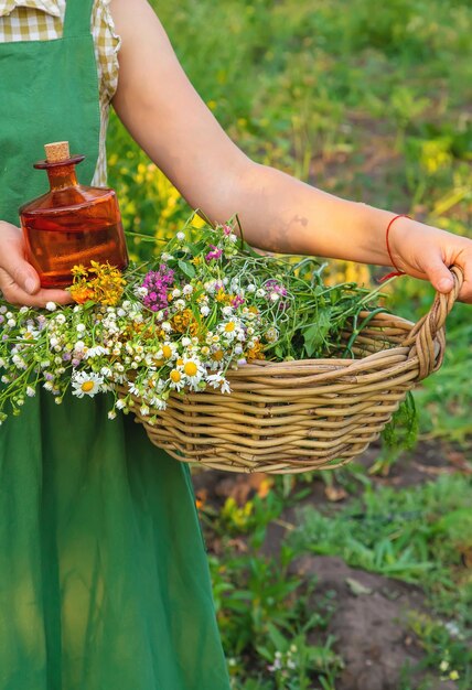 Une femme fait de la teinture à base de plantes Mise au point sélective