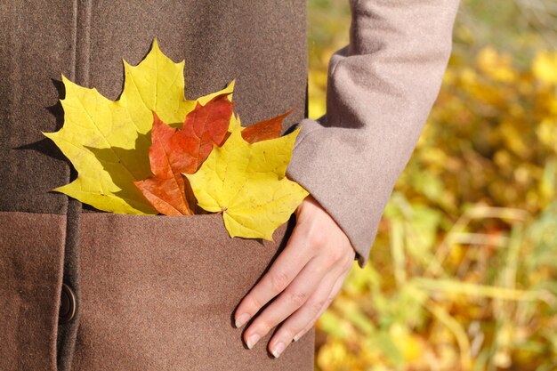 Femme, feuilles, poche