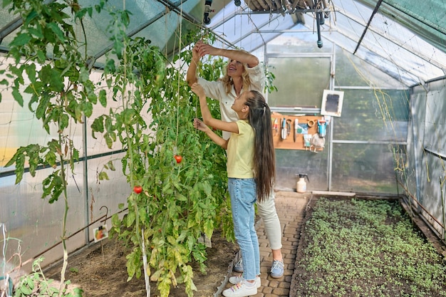 Femme et fille attachant des semis en serre