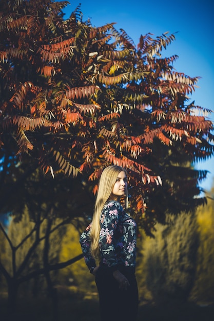 Femme fille blonde aux cheveux longs dans une forêt avec des arbres aux feuilles rouges. Elle est heureuse confiante dans une séance photo. Parc d'automne journée chaude ensoleillée. Notion romantique.