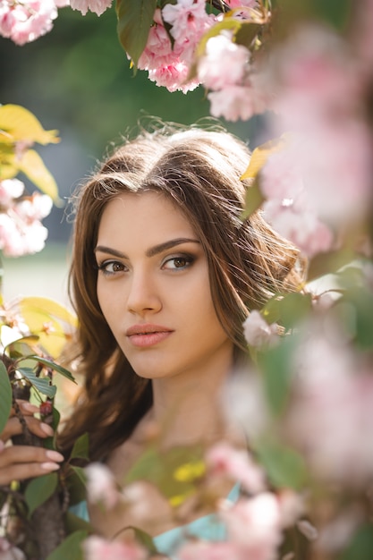 Femme, fleurir, Sakura, arbre, nature