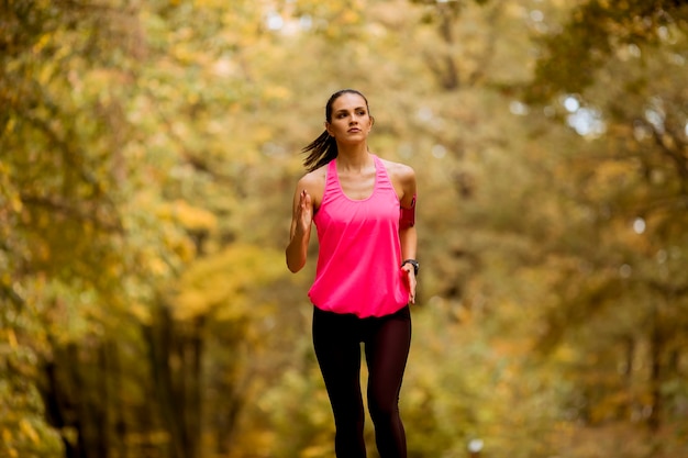 Femme de forme physique en bonne santé s'entraînant pour le marathon à l'extérieur dans la ruelle