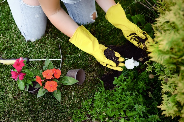 Femme en gants, planter des fleurs dans le jardin