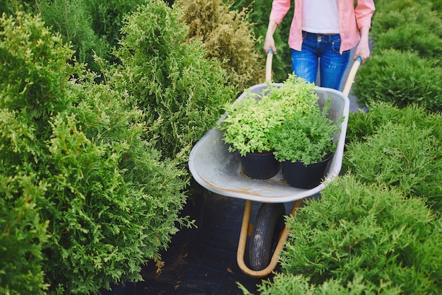 femme gens gros plan d&#39;occupation de l&#39;environnement