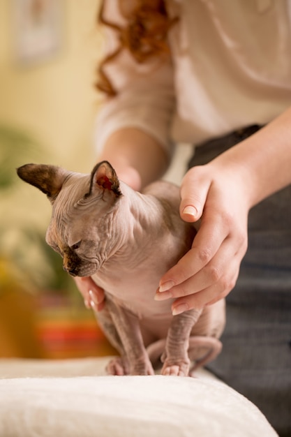 Femme guérit les animaux