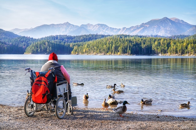 Femme handicapée handicapée assise sur une chaise roulante et nourrissant le pain pour le canard colvert