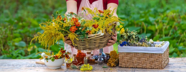 Femme avec des herbes médicinales et des teintures Mise au point sélective