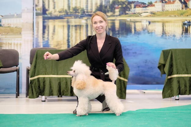 Une femme heureuse montre la beauté d'un mini caniche dans un stand de chien