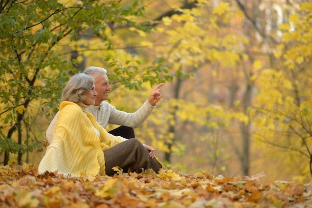 Une femme et un homme heureux dans le parc.