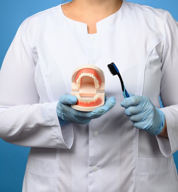 Une femme infirmier en blouse blanche tient un modèle en plastique d'une mâchoire humaine et une brosse à dents sur une surface bleue