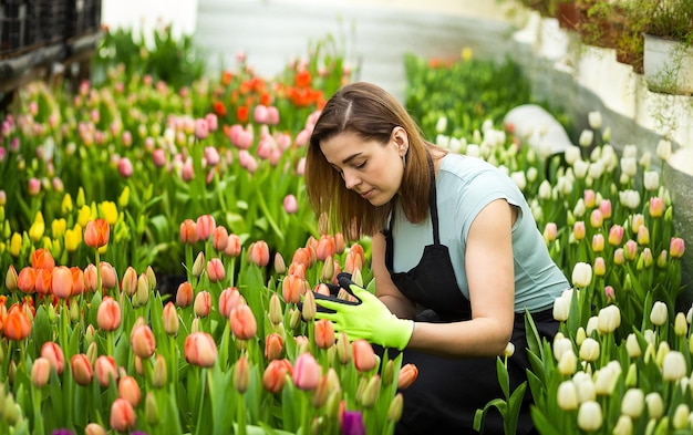 Femme jardinier avec des outils de jardin dans la serreFleuristes femme travaillant avec des fleurs dans une serre