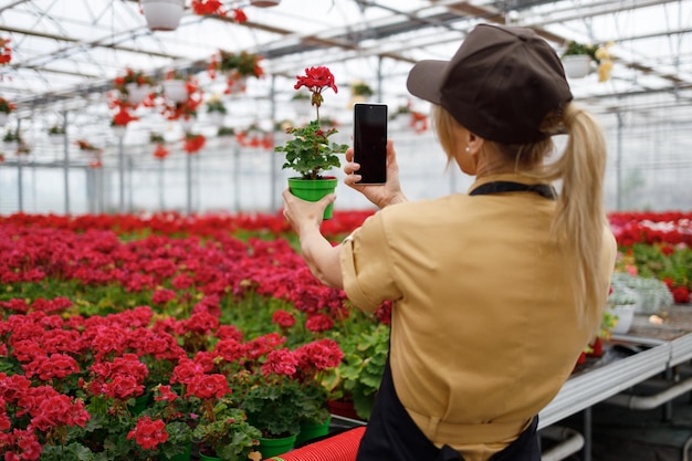 Femme jardinier prenant une photo de fleurs en pépinière