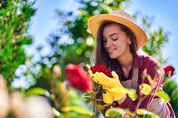 Femme jardinier sent et apprécie le parfum d'une fleur rose dans le jardin à la maison en journée ensoleillée