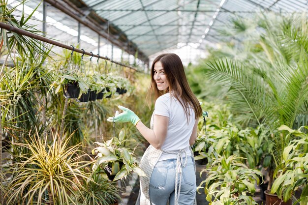 Femme jardinier en tablier prenant soin d'une plante en pot dans une serre entourée de plantes et de pots Jardinage domestique amour des plantes et des soins Petite entreprise