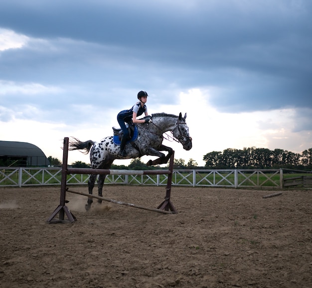 Photo une femme jockey saute par-dessus les barrières sur un cheval lors d'une compétition de saut d'obstacles au coucher du soleil. une jeune fille chevauche une équitation en selle.