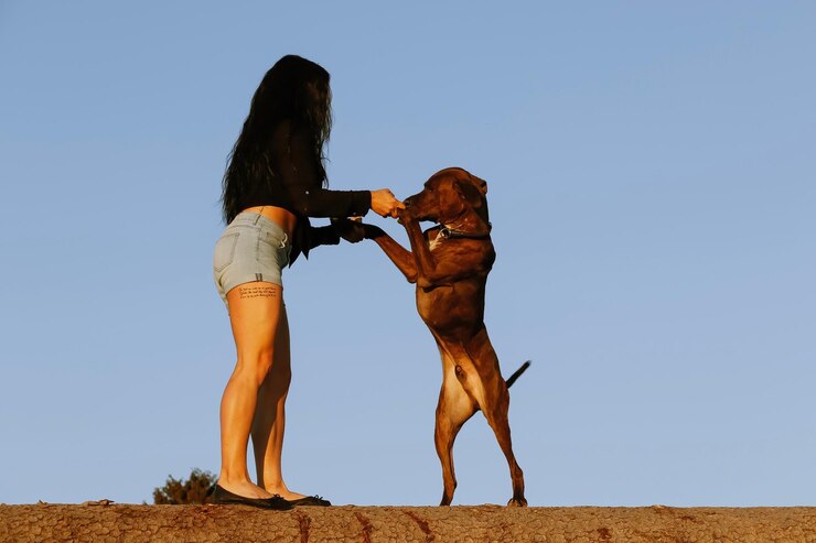 Photo une femme jouant avec un chien contre un ciel bleu clair.