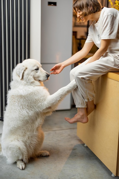 Une femme joue avec son chien dans la cuisine à la maison