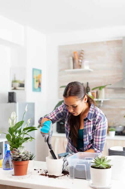 Femme joyeuse s'occupant des fleurs d'intérieur assises dans la cuisine sur la table. Fleuriste replantant des fleurs dans un pot en céramique blanche à l'aide d'une pelle, de gants, d'un sol fertile et de fleurs pour la décoration de la maison.