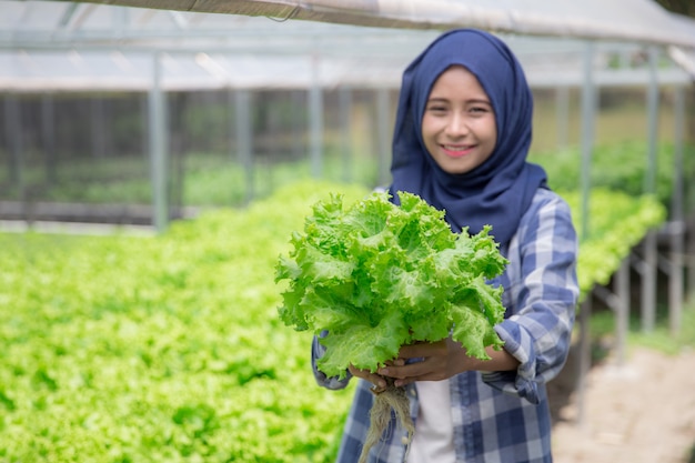 Femme, à, laitue, debout, dans, ferme hydropohonique