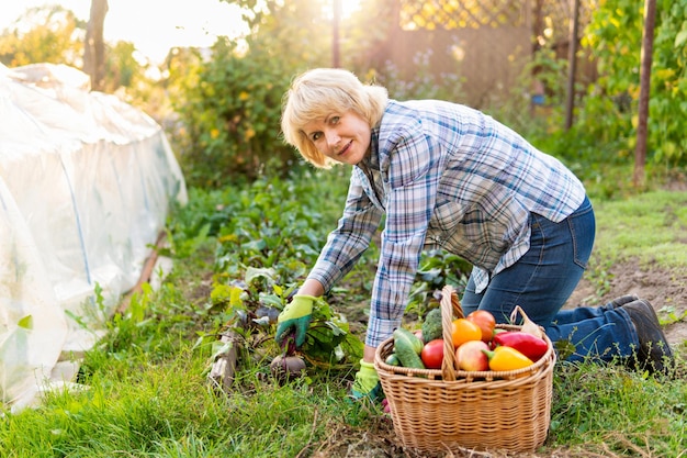 Femme avec des légumes frais dans un panier dans le jardin en automne