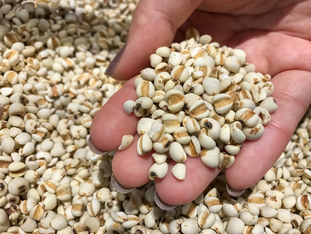 Femme mains sur fond de haricots blancs