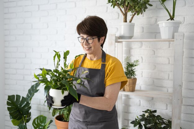 Femme à la maison de jardinage replantant et arrosant une plante verte à partir d'un arrosoir dans un plan vert en pot à la maison