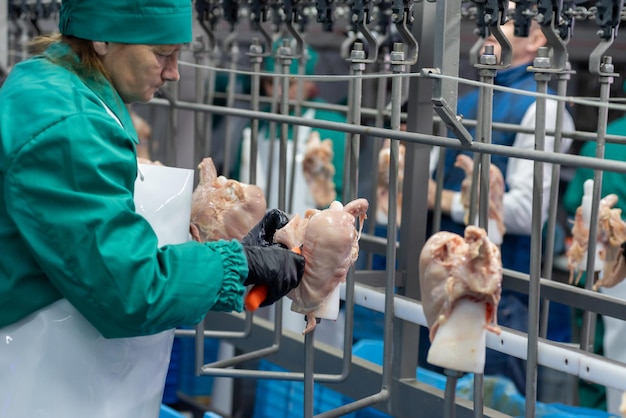 Une femme en manteau vert nettoie la peau d'un poulet.