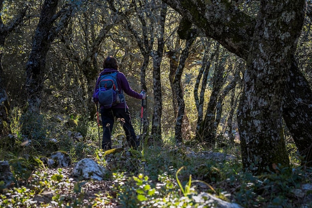 Femme marchant dans une forêt sauvage