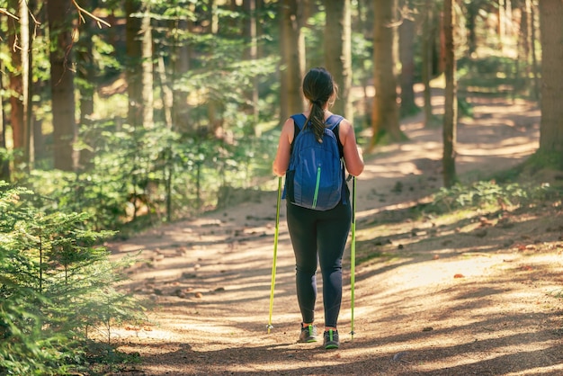 Femme marchant le long d'un chemin forestier pendant que les rayons du soleil traversent les arbres Porte un sac à dos et des bâtons de randonnée