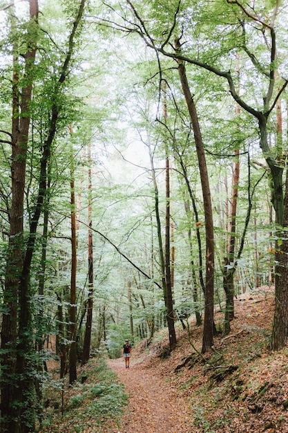 Femme marchant sur un sentier dans la forêt