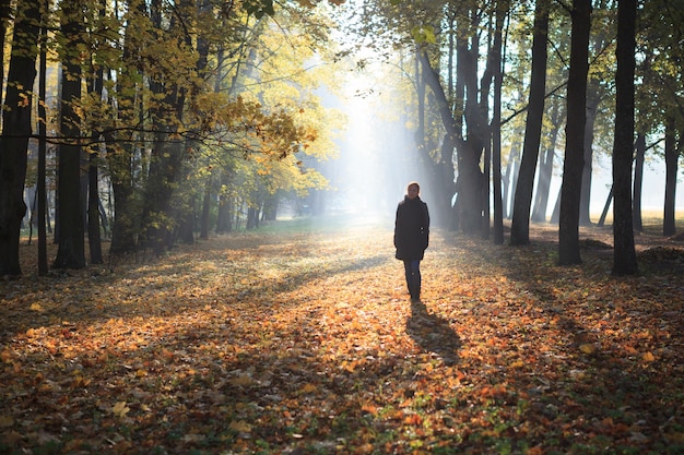 Une femme marche dans les avenues brumeuses du parc d'automne, couvertes de feuilles