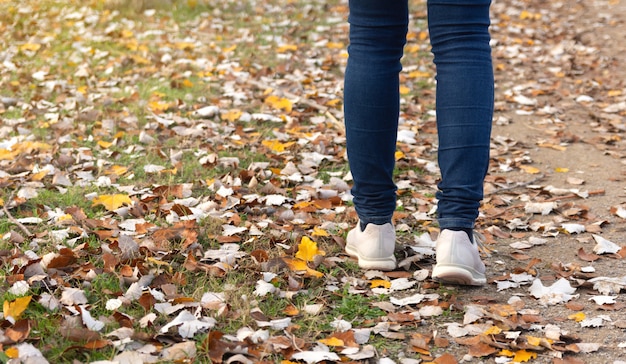 Femme, marche, par, champ, automne