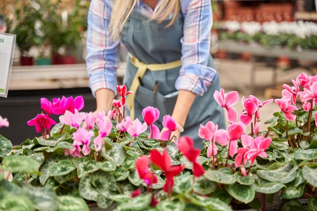 femme méconnaissable en tablier travaillant dans un magasin de plantes et de fleurs
