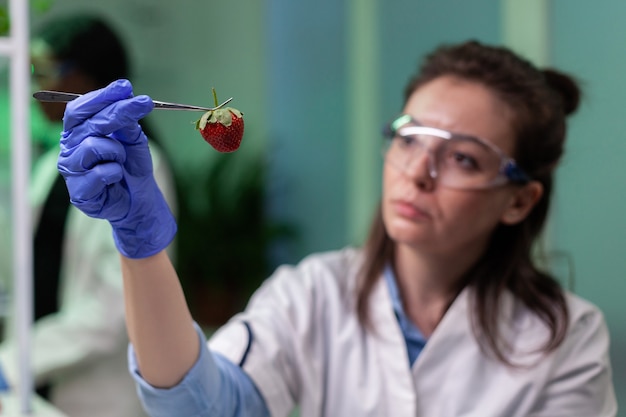 Femme médecin biologiste tenant une fraise biologique travaillant à l'expérience d'OGM