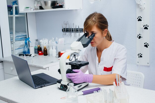 Une femme médecin en laboratoire étudie les virus et les bactéries au microscope. Recherche de virus et de bactéries dangereux.