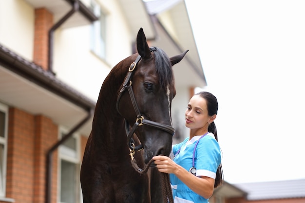 Femme médecin vétérinaire caressant les chevaux pur-sang à la ferme