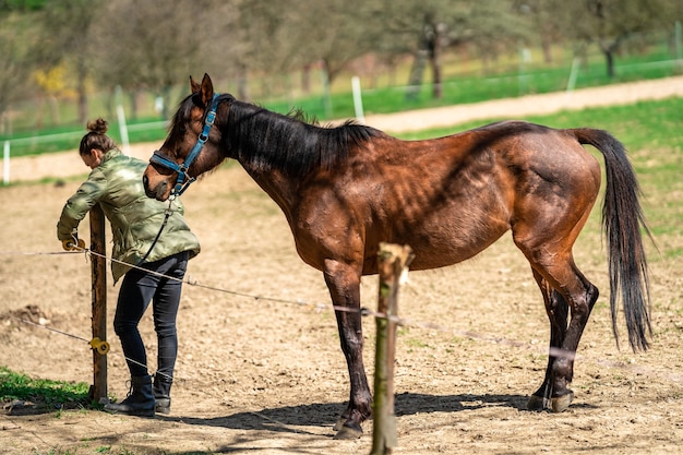 Une femme mène un cheval d'un corral à travers une clôture électrique